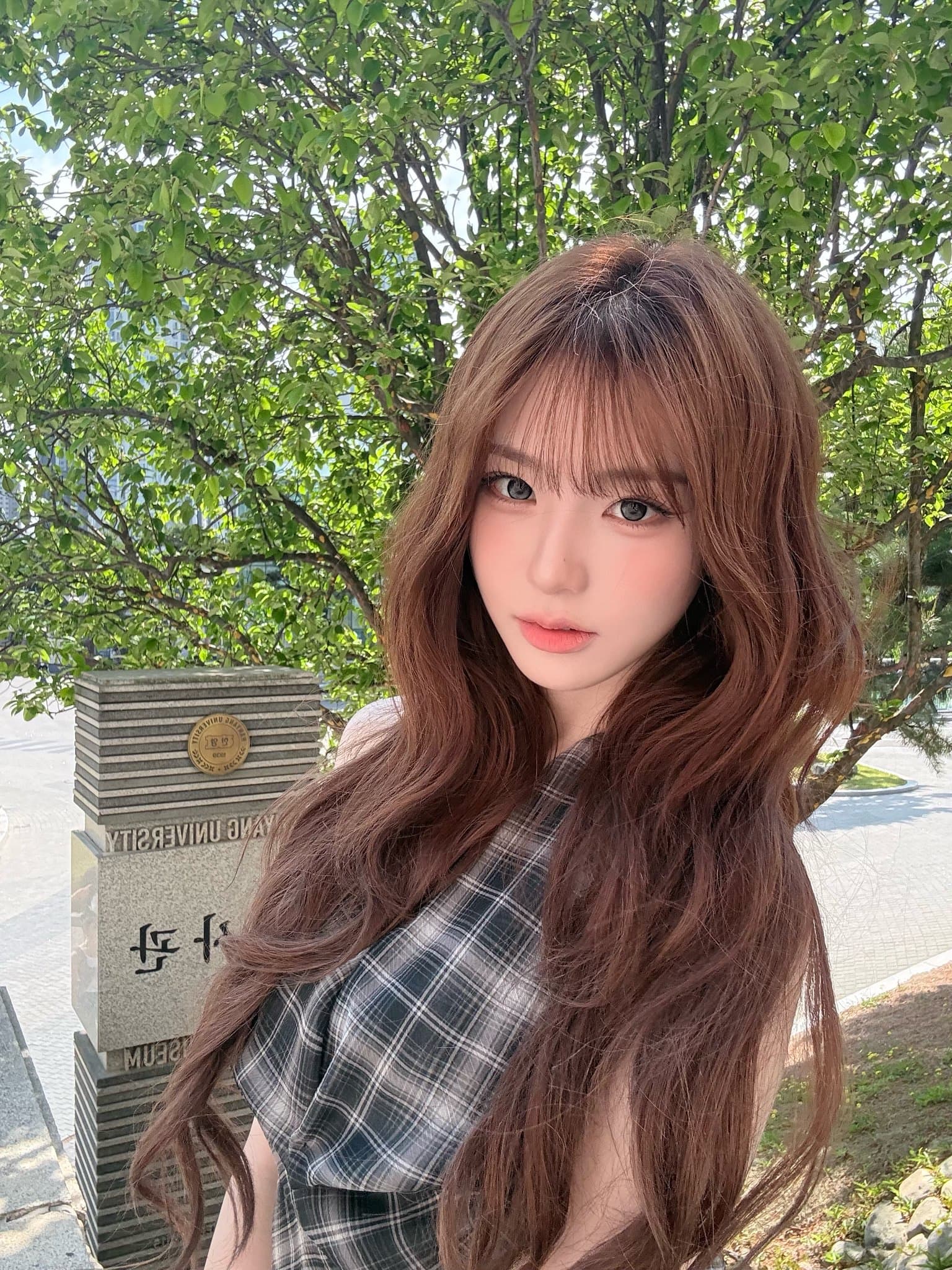 Xinyu 官方X更新