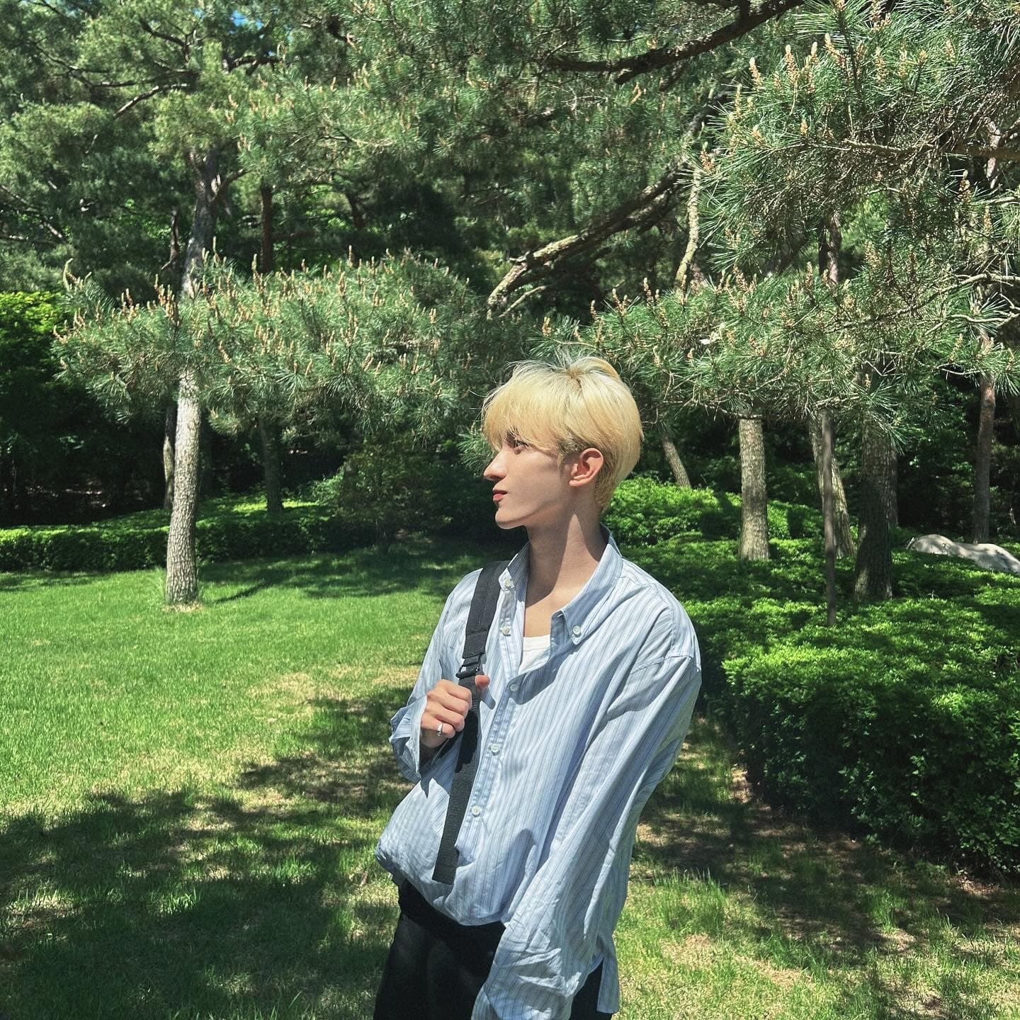연달아 초록 배경 피드만 몇 개야ఠ_ఠ

-240517