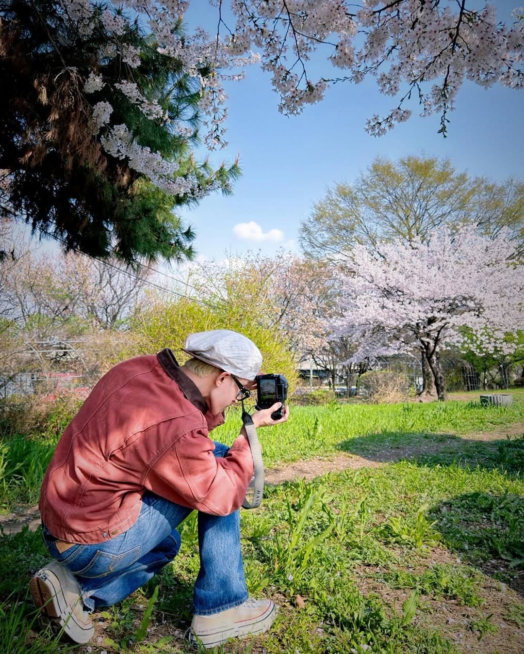 벚꽃 나들이🌸

-240408