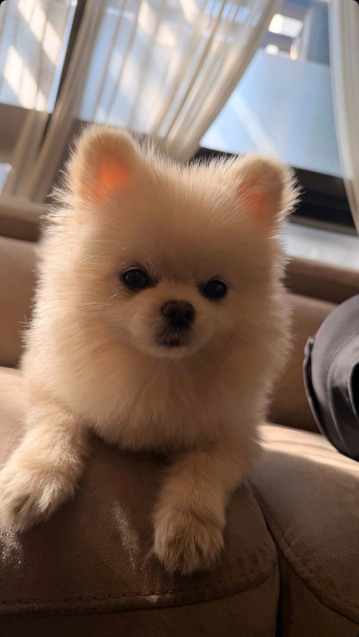 呂尚IG更新！
戴細框眼鏡真的無敵😌
難不成是在暗示自己跟Emma走同一路線嗎
（被打