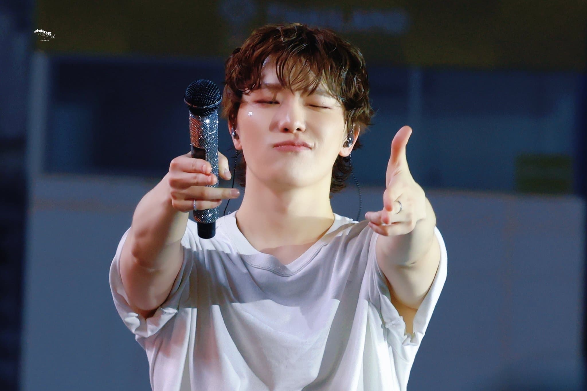 卷毛燦狗狗發起狙擊，妳心動了嗎？