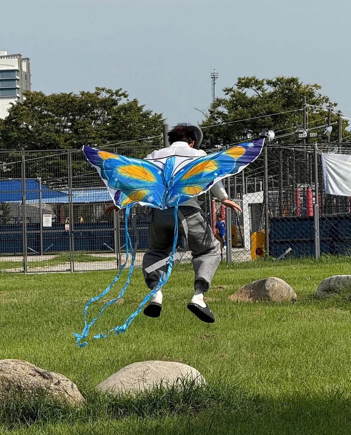 蝴蝶🦋