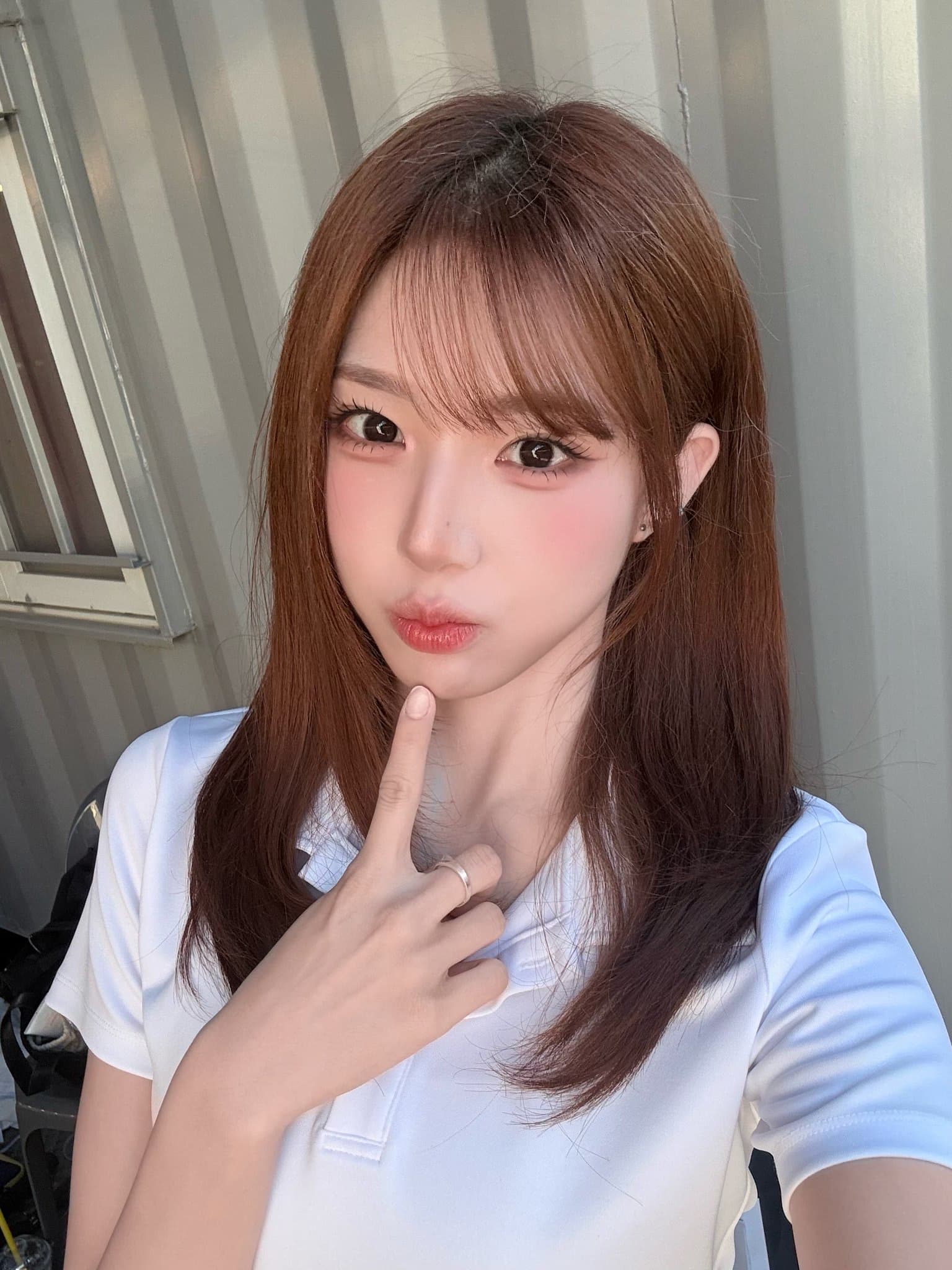 Xinyu 官方更新