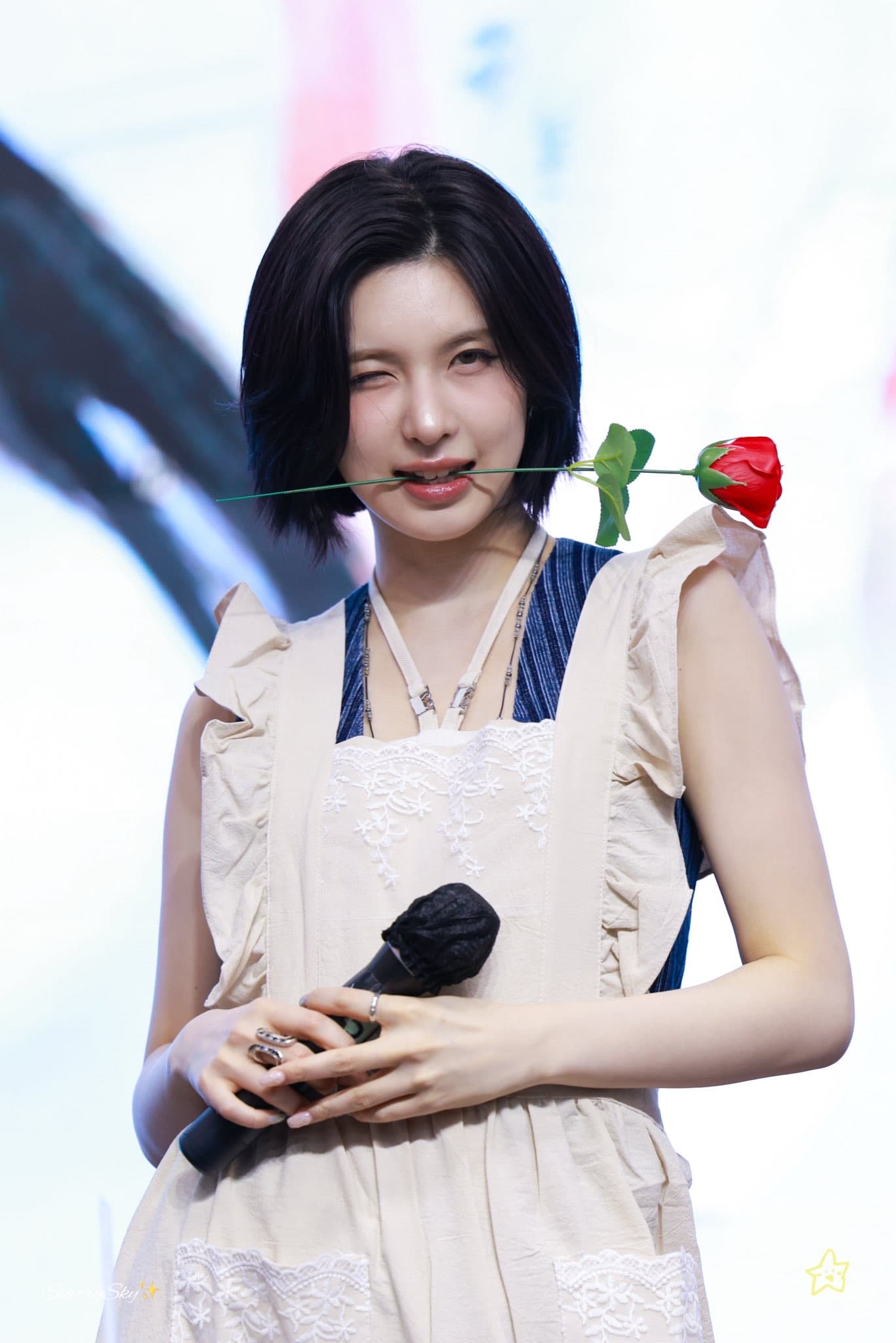 Bae MS簽售