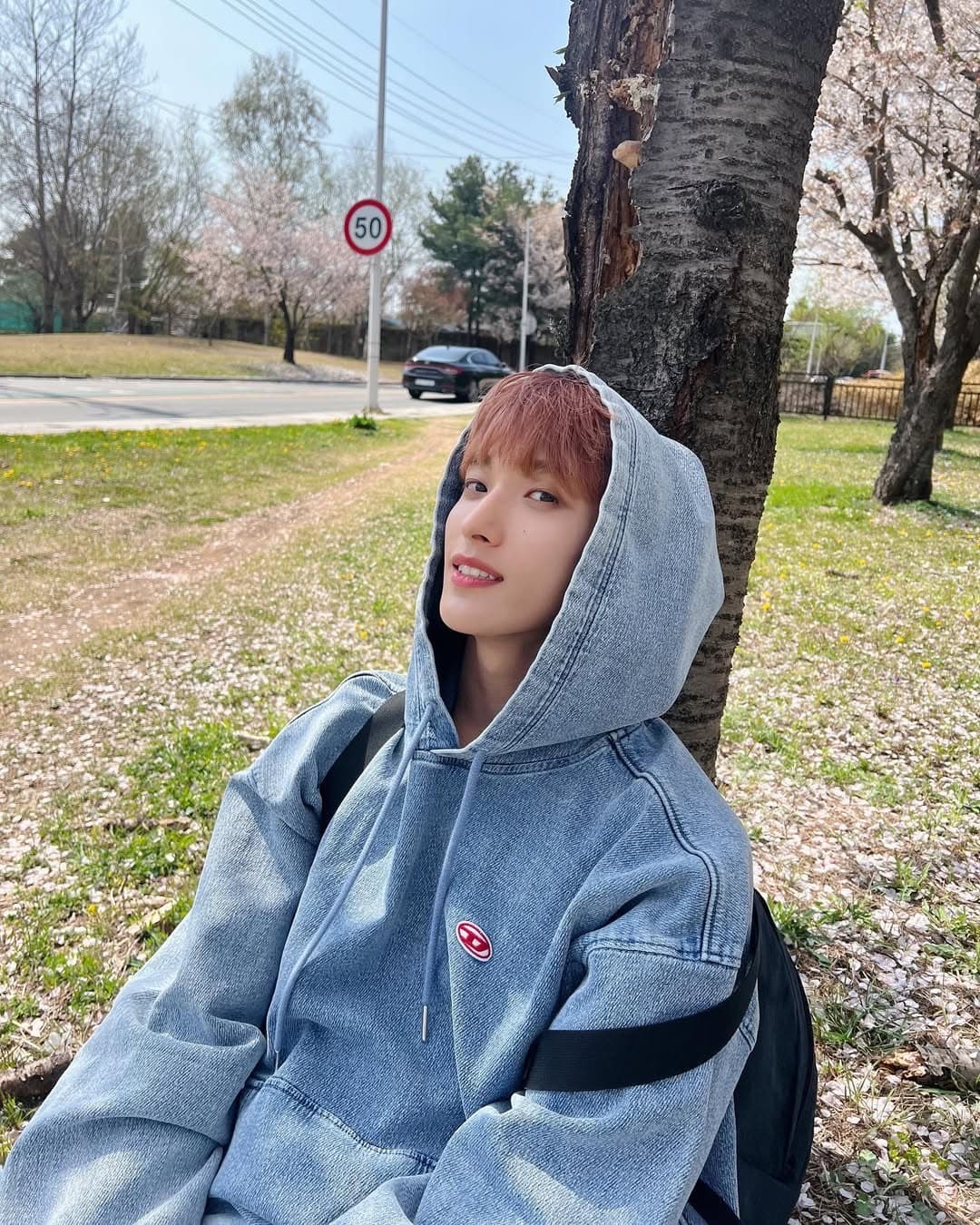 벚꽃 안녕🌸

-230408