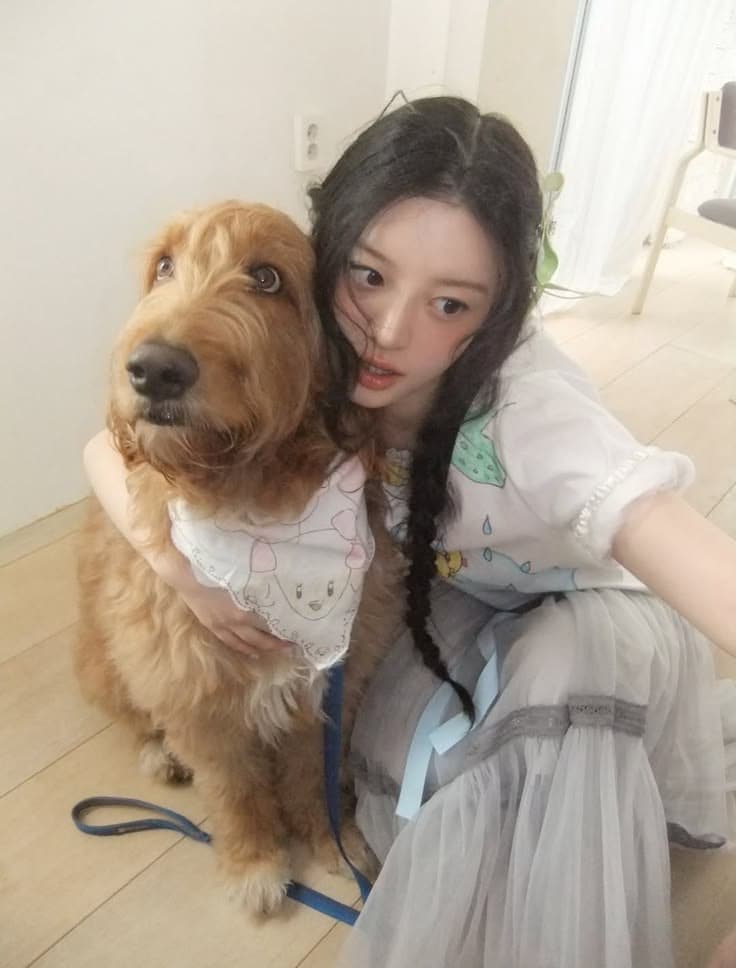 저는 일릿을 오랫동안 좋아해 왔는데, 특히 민주를 좋아해요.