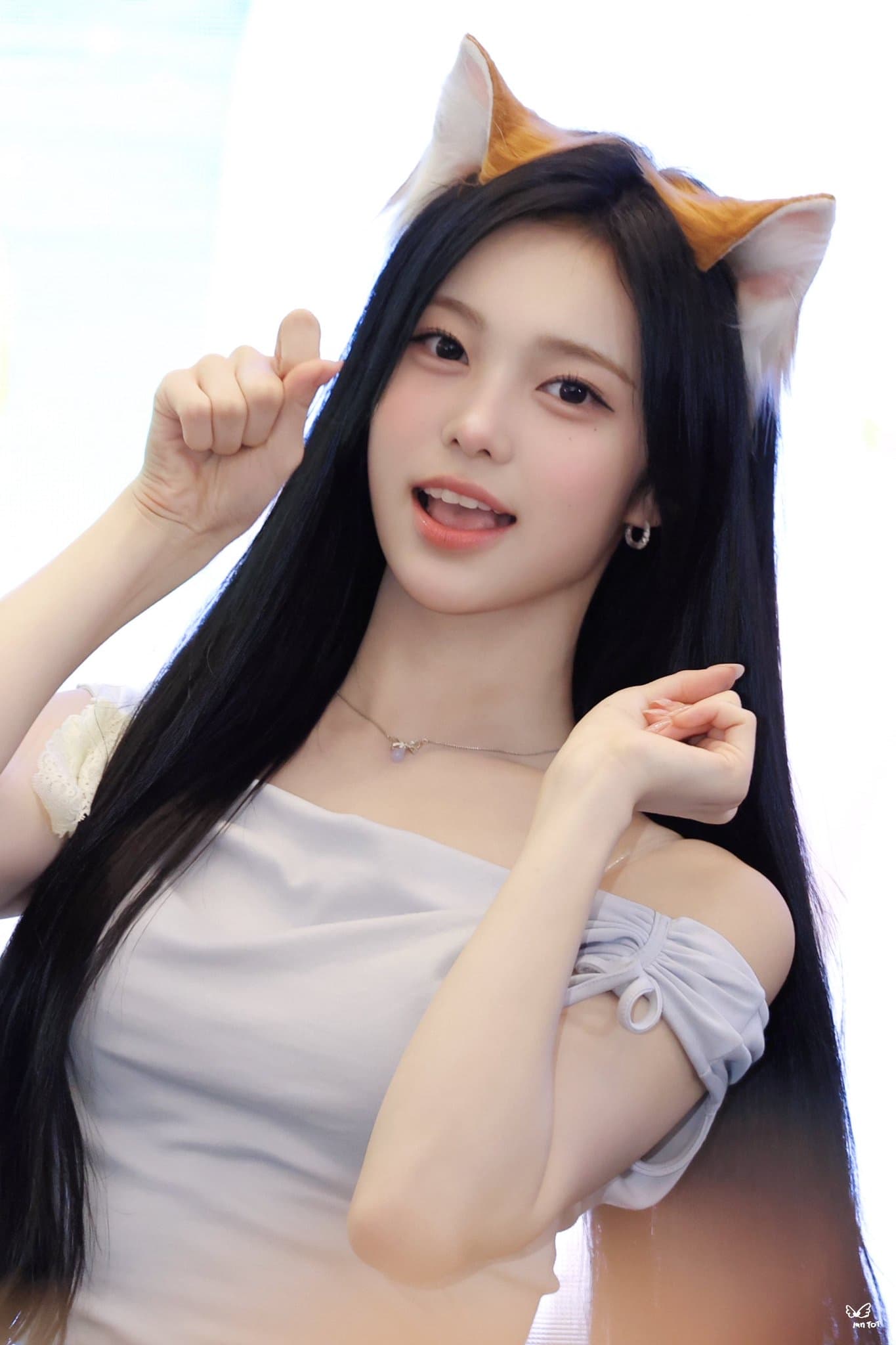 IAN 簽售