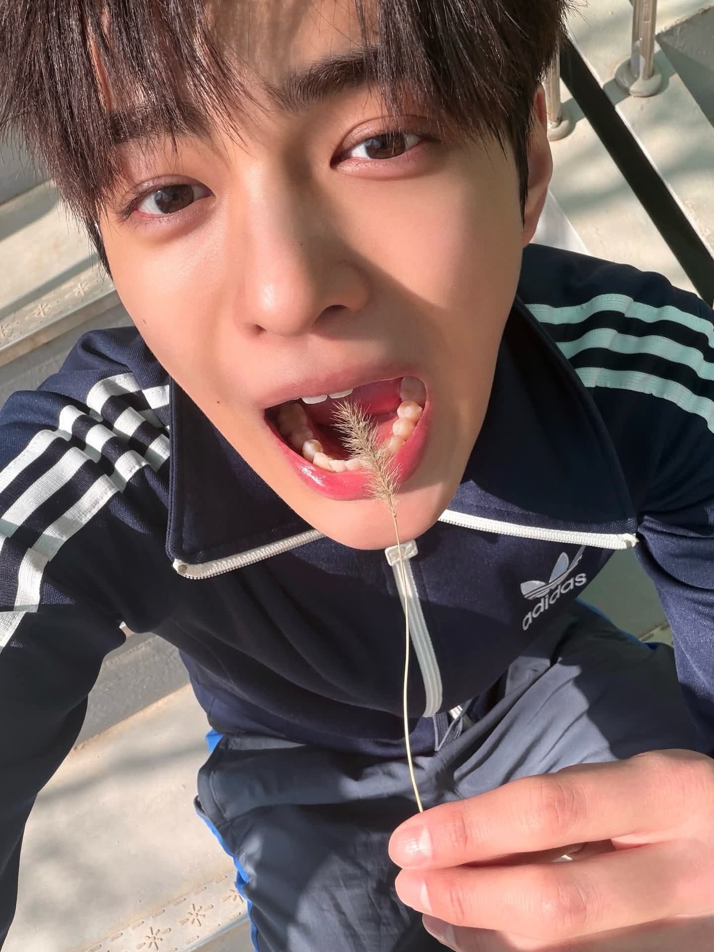 安乾鎬你知道這個愛迪達有多貴嗎。￼
（小卡超貴）